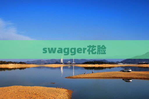 swagger花脸 swagger花脸