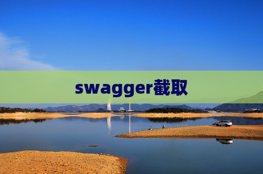 swagger截取